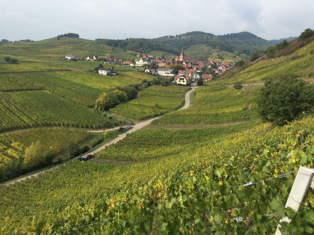 Caveau 1751 Niedermorschwihr Екстер'єр фото